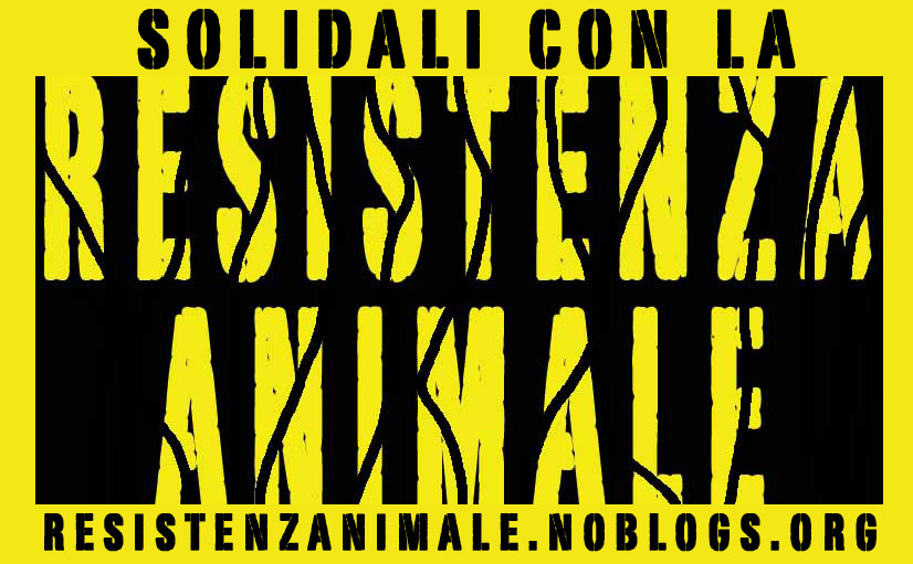Banner Resistenza Animale