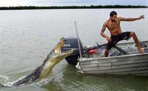 aligatore-attacca-uomo