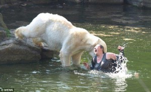 orso-polare-attacca-donna