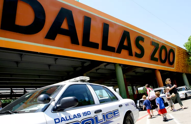 Foto dell'ingresso dello zoo di Dallas: in alto, l'insegna con il nome dello zoo in nero su sfondo arancione, in basso a sinistra una macchina della polizia di Dallas bianca, in basso a destra alcune persone che stanno entrando nello zoo.