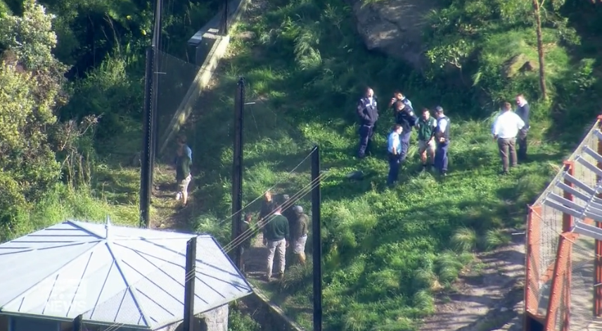 Foto scattata dall'alto: si vedono alcuni membri del personale dello zoo su un prato verde in mezzo a due alte recinzioni che indagano sulle reti