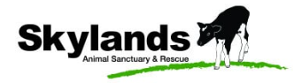 Logo dello Skyland Animal Sanctuary & Rescue: su sfondo bianco il nome del santuario in nero; sotto, un tratto obliquo verde, a destra la sagoma di una mucca nera.