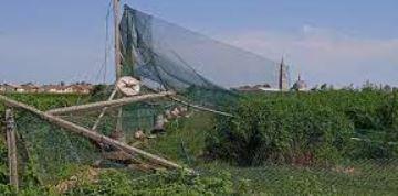 Foto: le recinzioni dell'allevamento di fagiani distrutte dal maltempo.