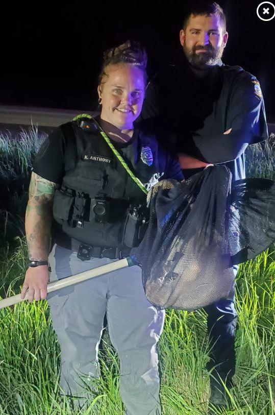 Foto: due agenti di polizia sorridenti mostrano una rete con dentro un corpo animale.