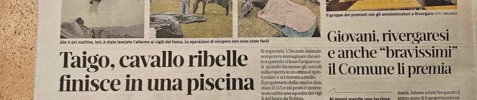 articolo di giornale su Taigo