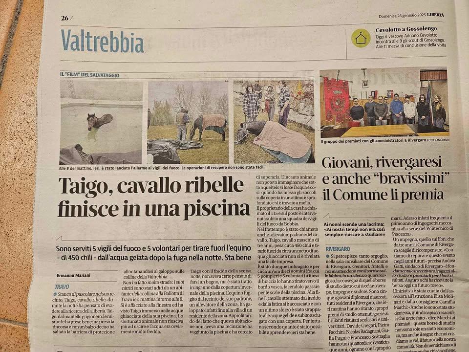 articolo di giornale su Taigo